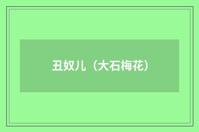 丑奴儿（大石梅花）