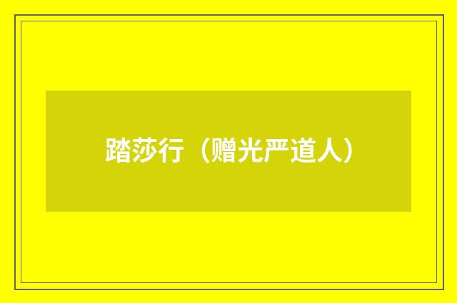 踏莎行（赠光严道人）