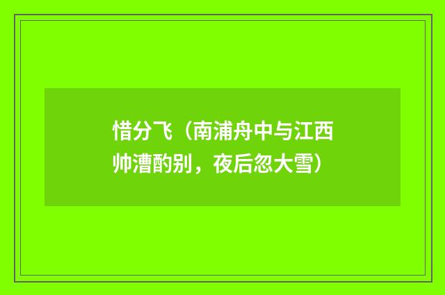 惜分飞（南浦舟中与江西帅漕酌别，夜后忽大雪）