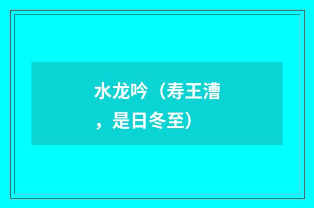 水龙吟（寿王漕，是日冬至）