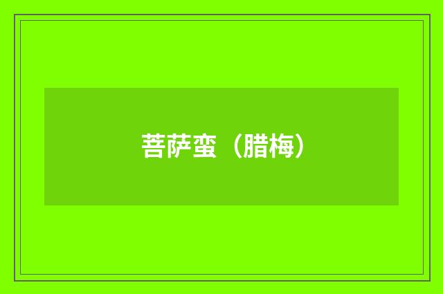 菩萨蛮（腊梅）