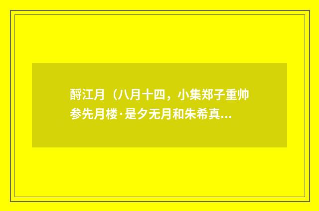 酹江月（八月十四，小集郑子重帅参先月楼·是夕无月和朱希真插天翠柳词韵）