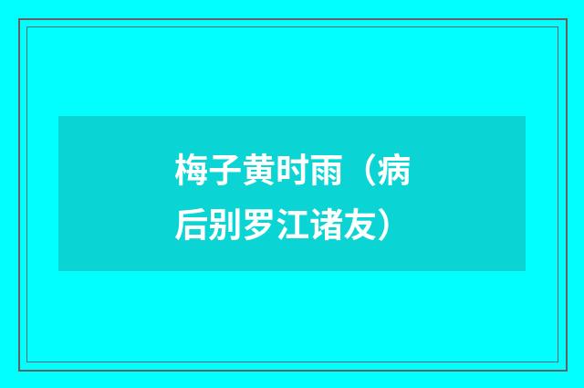 梅子黄时雨（病后别罗江诸友）