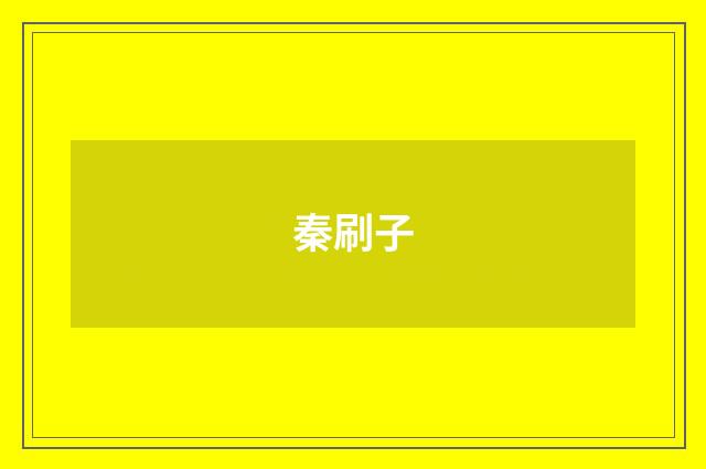 秦刷子