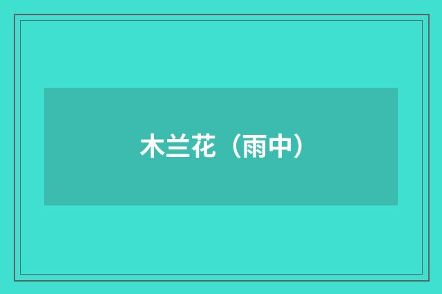 木兰花（雨中）