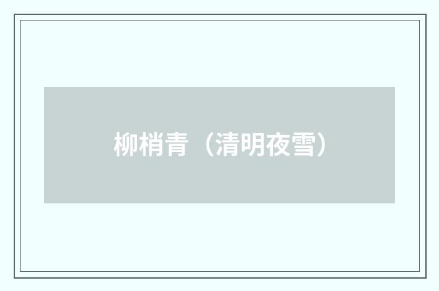 柳梢青（清明夜雪）