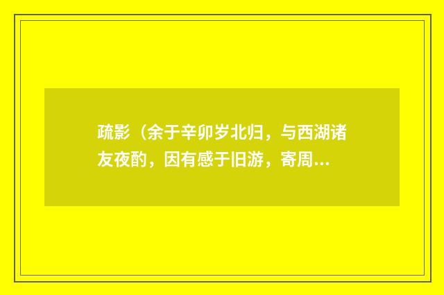 疏影（余于辛卯岁北归，与西湖诸友夜酌，因有感于旧游，寄周草窗·）