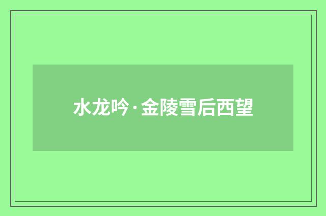 水龙吟·金陵雪后西望