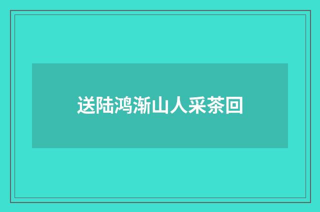 送陆鸿渐山人采茶回