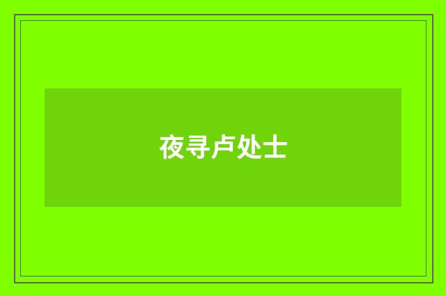 夜寻卢处士