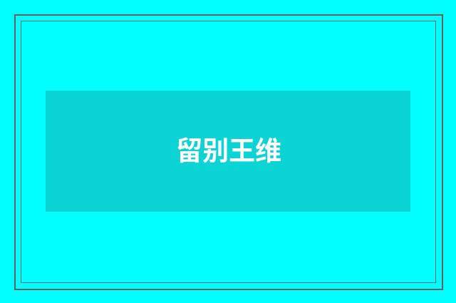 留别王维