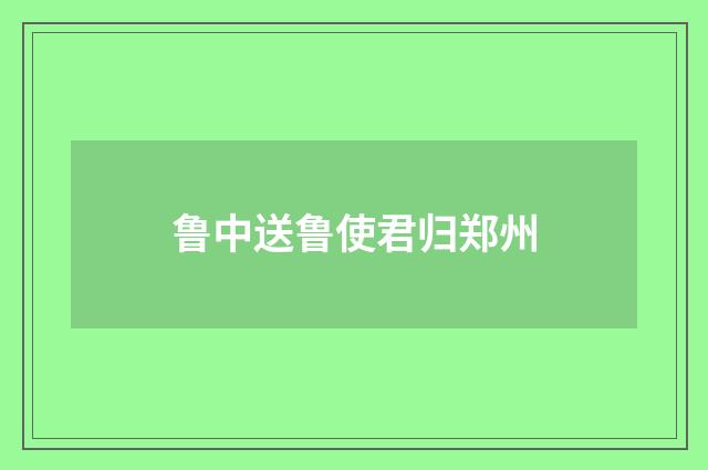 鲁中送鲁使君归郑州