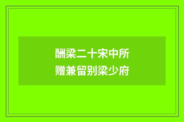 酬梁二十宋中所赠兼留别梁少府