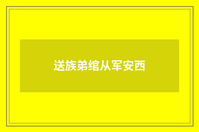 送族弟绾从军安西