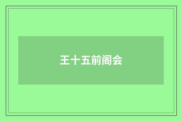 王十五前阁会