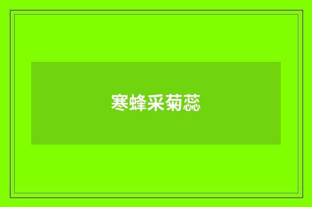 寒蜂采菊蕊