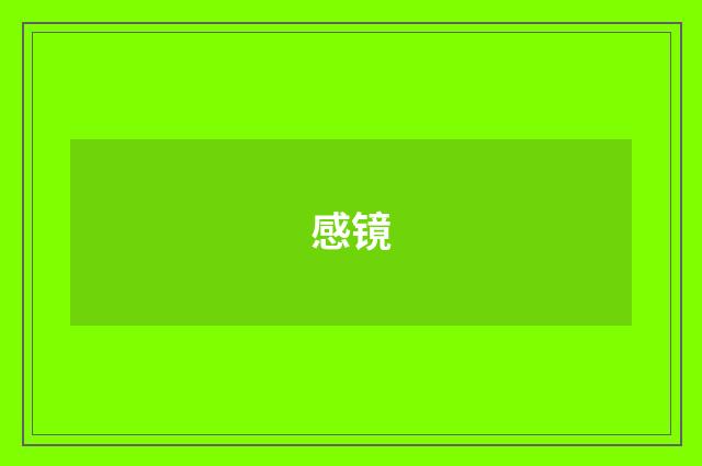感镜
