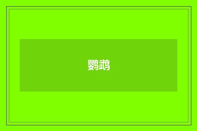 鹦鹉