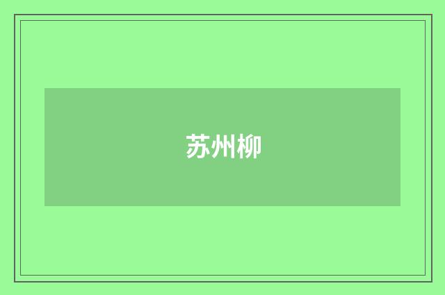 苏州柳
