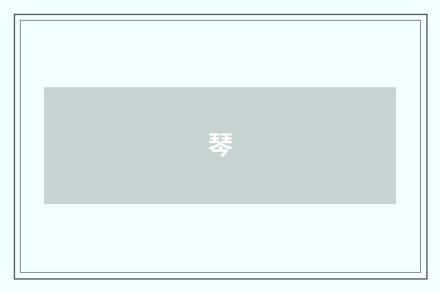 琴