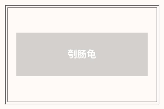 刳肠龟