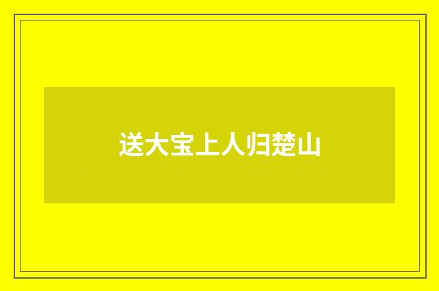 送大宝上人归楚山