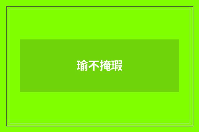 瑜不掩瑕