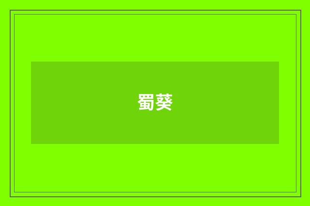 蜀葵