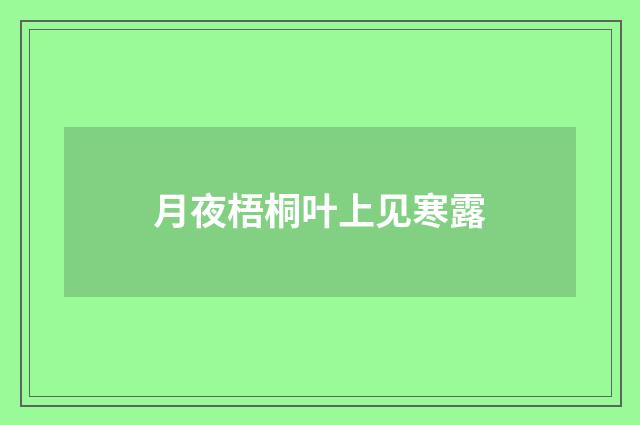月夜梧桐叶上见寒露