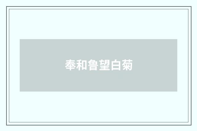奉和鲁望白菊