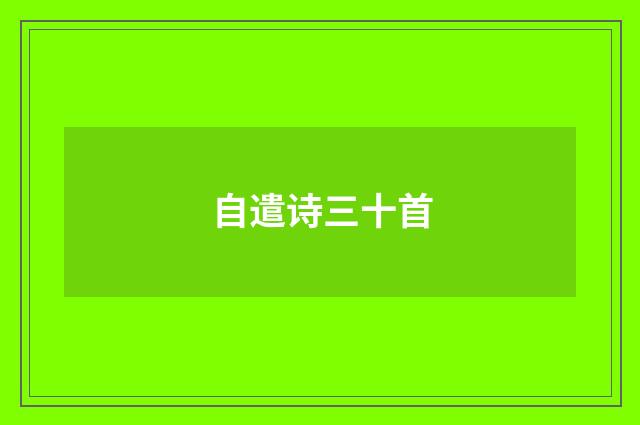 自遣诗三十首