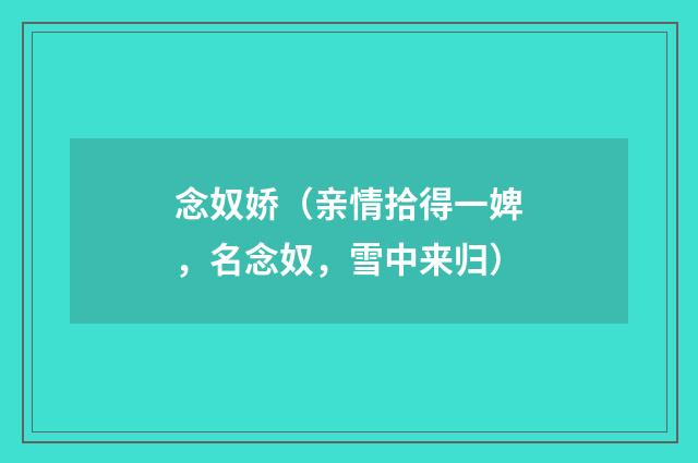 念奴娇（亲情拾得一婢，名念奴，雪中来归）