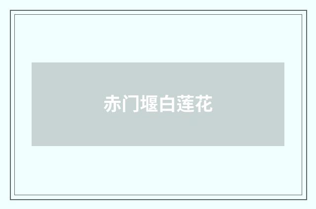 赤门堰白莲花