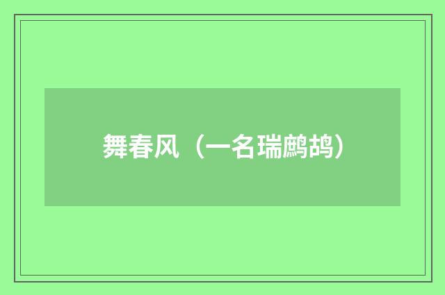舞春风（一名瑞鹧鸪）