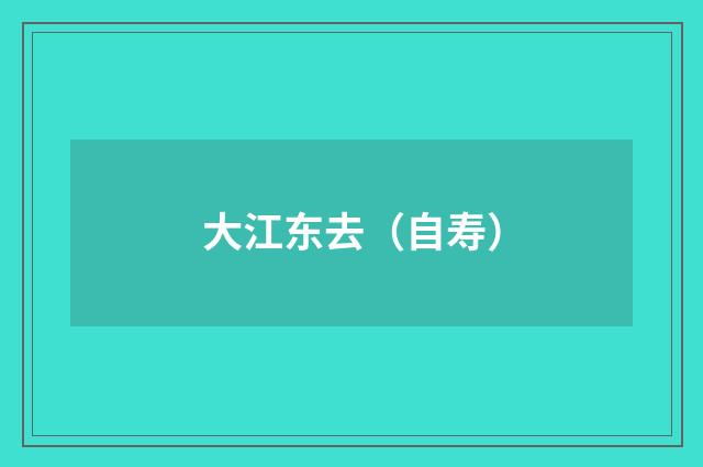 大江东去（自寿）