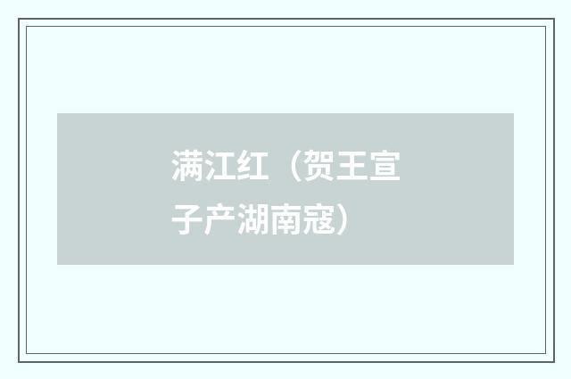 满江红（贺王宣子产湖南寇）