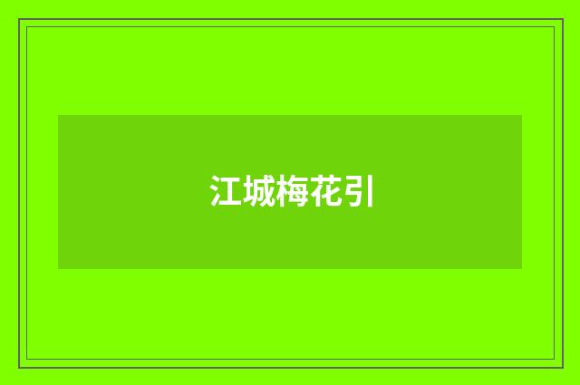 江城梅花引