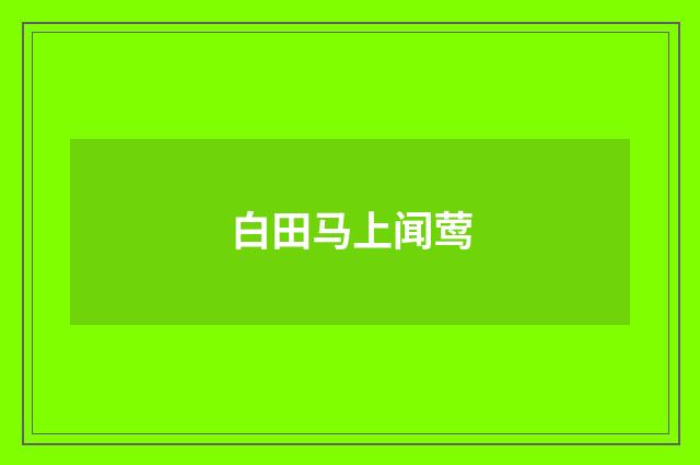 白田马上闻莺