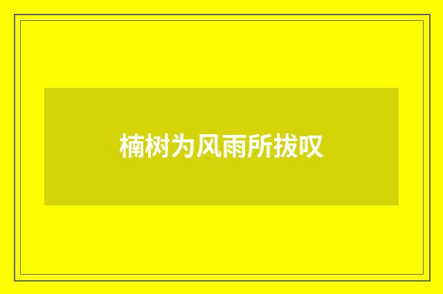 楠树为风雨所拔叹