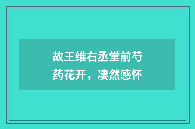 故王维右丞堂前芍药花开，凄然感怀