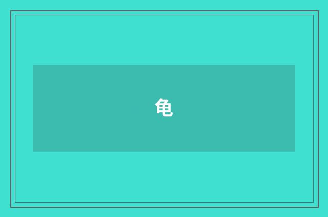龟