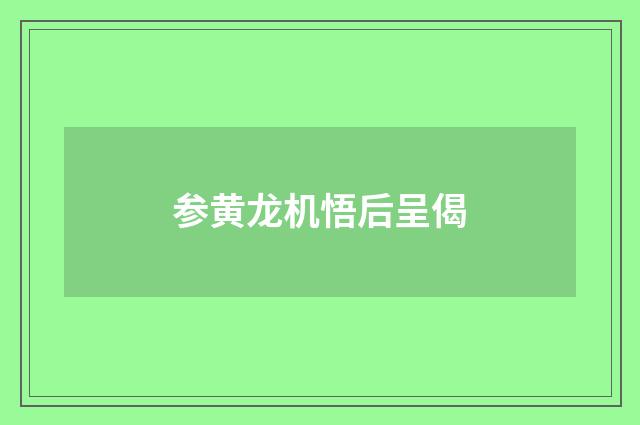 参黄龙机悟后呈偈
