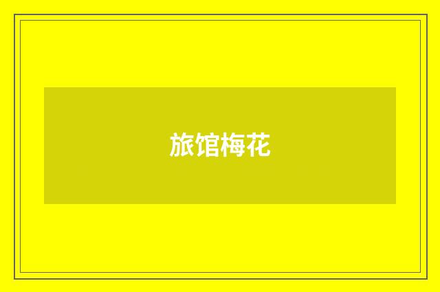 旅馆梅花