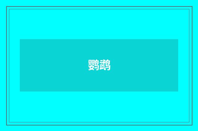 鹦鹉