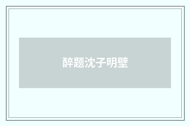 醉题沈子明壁
