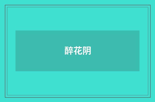醉花阴