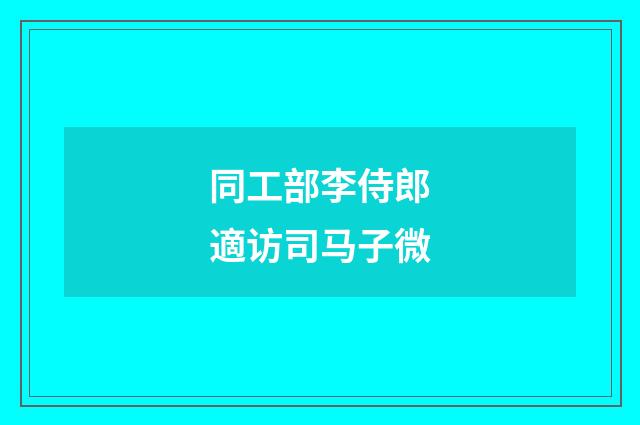 同工部李侍郎適访司马子微