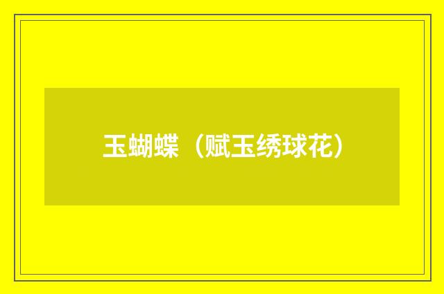 玉蝴蝶（赋玉绣球花）