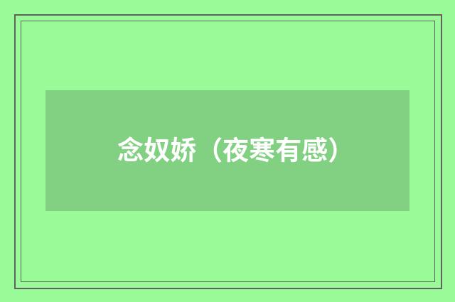 念奴娇（夜寒有感）