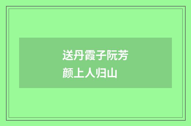 送丹霞子阮芳颜上人归山